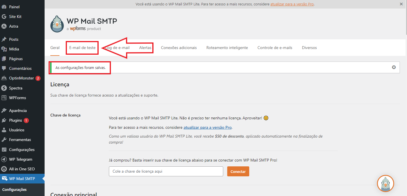 Configuração do WP Mail SMTP 8